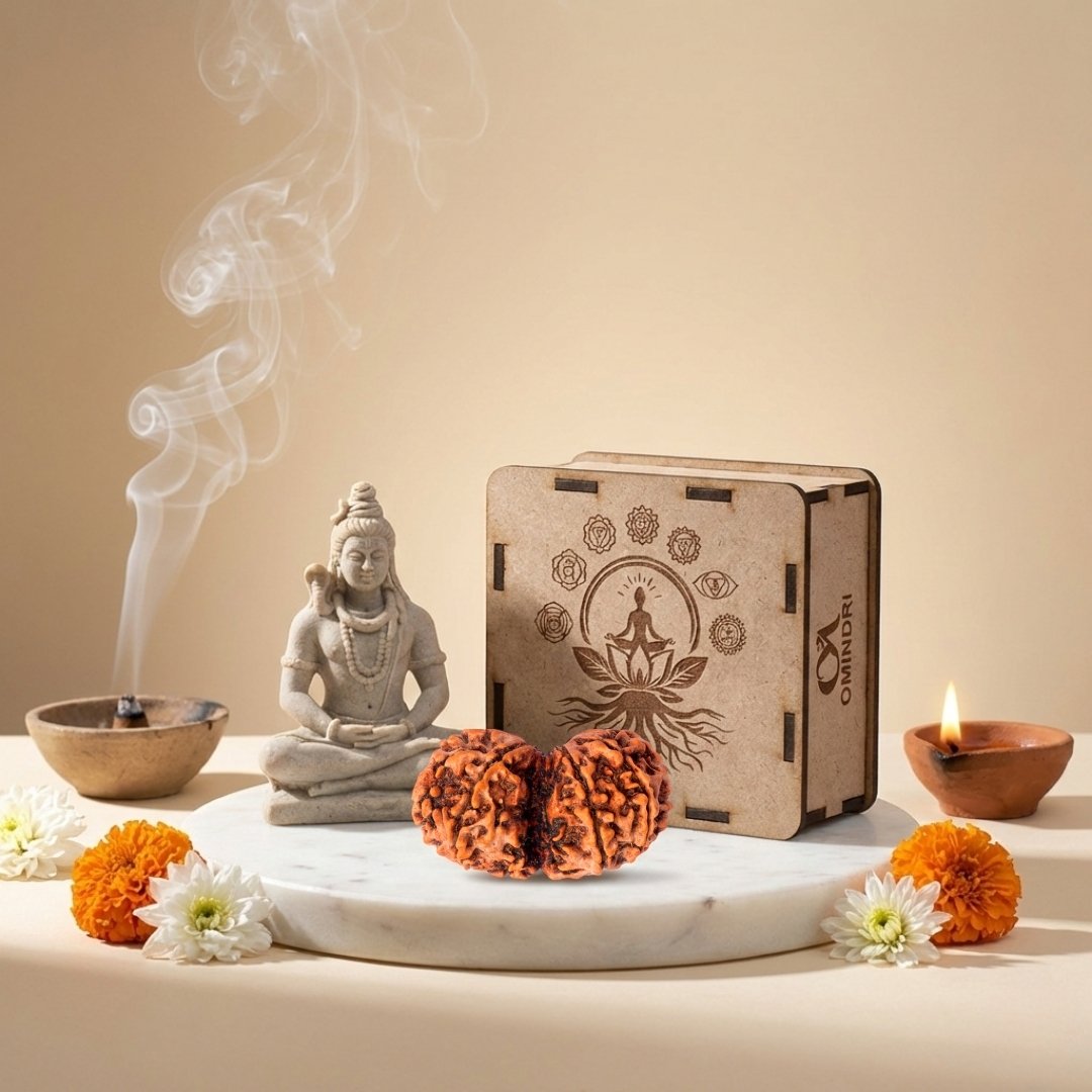 3 Mukhi Certified Rudraksha